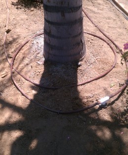 Netafim Drip Irrigation