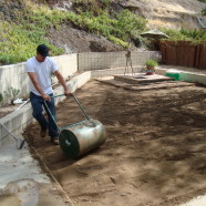 Soil Amendment Grading & Rolling (Sod Install)