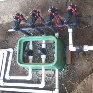 Irrigation Manifold 1