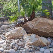 Rock Garden / Riverbed 1