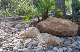 Rock Garden / Riverbed 1