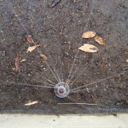MP Rotor Spray Head