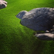 Artificial Turf