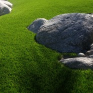 Artificial Turf 4