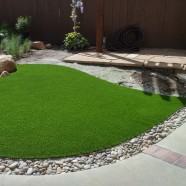 Artificial Turf 5